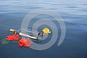 Message in a Bottle floating with flowers