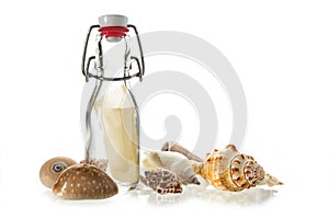 Message in a bottle of glass between some sea shells isolated o