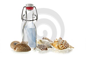 Message in a bottle of glass between some sea shells isolated o