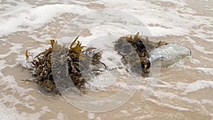 Message in Bottle on Sea Shore