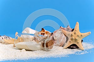 Message bottle with sea stars or starfish and shells on white sand shore