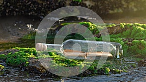 Message in a bottle on a stone covered with seaweed