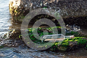 Message in a bottle on a stone covered with seaweed