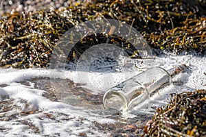 Message In a Bottle At Waters Edge