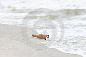 Bottle on beach sea and sky