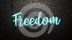 The message Freedom  neon light on Brick wall bcakground