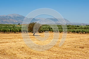 Messara plain. Crete, Greece