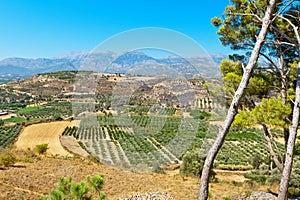 Messara plain. Crete, Greece