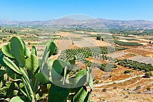 Messara plain. Crete, Greece
