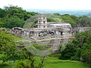Messico Chiapas, Palenque, Panoramic view of the temple