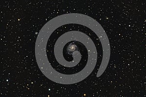 Messier 101 Pinwheel Galaxy in Ursa Major photo