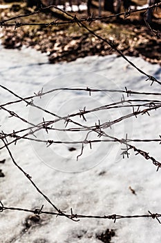 Messy barbed wire