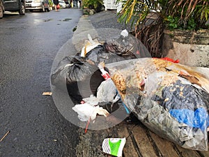 Messy and dirty garbage next to residential road