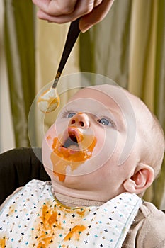 Messy hungry baby eating solid food from spoon