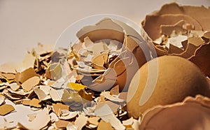 Messy clean crushed egg shells