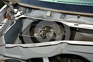 Messy Mouse Nest Car Ventilation System photo