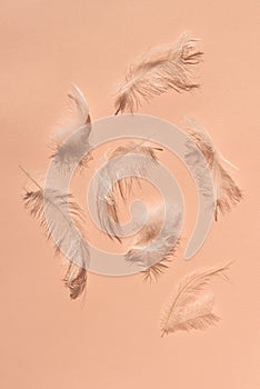 Messy white feathers and fuzz on peach textured paper background. Flat lay. Trendy color 2024