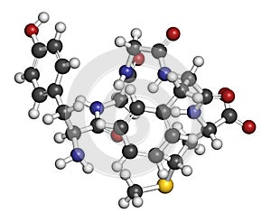 Met-enkephalin endogenous opioid peptide molecule. 3D rendering. Atoms are represented as spheres with conventional color coding:.