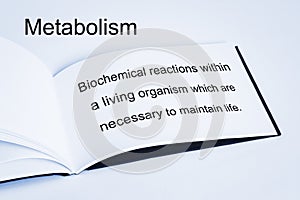 Metabolism Concept and Definition