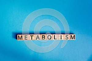 metabolism inscription