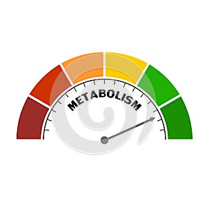 Metabolism Level Concept