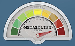 Metabolism level measuring scale with color indicator