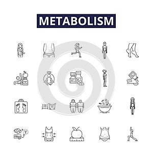 Metabolism line vector icons and signs. Substrate, Respiration, Enzymes, Anabolism, Catabolism, ATP, NADH