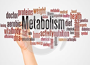 Metabolism word cloud and hand with marker concept