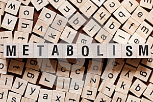 Metabolism word concept