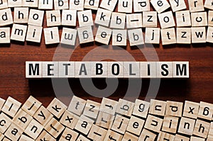 Metabolism word concept on cubes