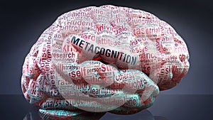 Metacognition and a human brain
