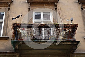 Metal balcony with withered plants of old stone house in Poland