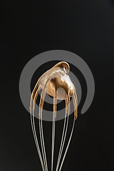Metal balloon whisk with whipping instant Dalgona coffee. frothy coffee trend korean drink latte espresso with coffee foam,
