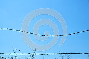 Metal barbed wire against clear blue sky