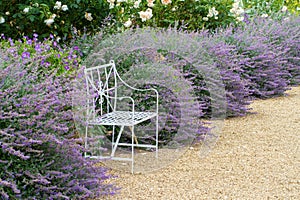 A metal bench in a flower bed