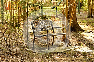 Metal bench in the spring forest in the afternoon