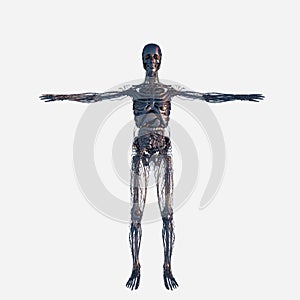 Metal body in chrom isolated photo