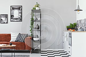 Metal bookshelf in grey Scandinavian living room interior with brown velvet sofa