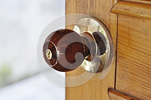 Metal Brass Door Knob Wood