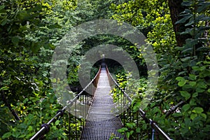 Metal bridge over Crisul Repede. The Crisului Repede gorge, Bihor county, Romania, Europe.