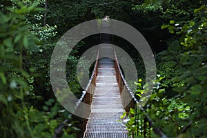 Metal bridge over Crisul Repede. The Crisului Repede gorge, Bihor county, Romania, Europe.