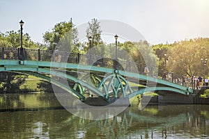 A metal bridge over a pond in a picturesque park