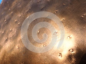 Metal bronze textured plate. Bronze or copper polished surface with dents, scratches and indentations. Metal texture