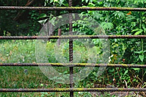Metal brown fence in front of blurred green garden background