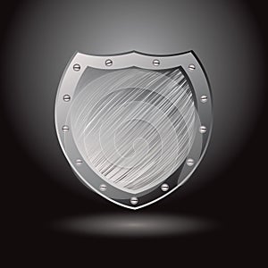 Metal brushed shield secure