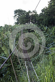 Metal cables walking bridge in the jungle at Legazpi, the Philippines