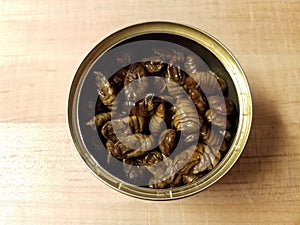 Metal can of bugs or insects on wood cutting board