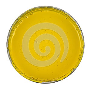 Metal can with yellow paint isolated on white background close-up