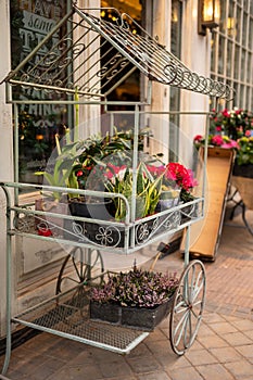 A metal cart with flowers on the street