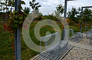 From metal constructions to climbing plants and vines is a sitting terrace of rough stone paving chipped cubes. metal gray furnitu